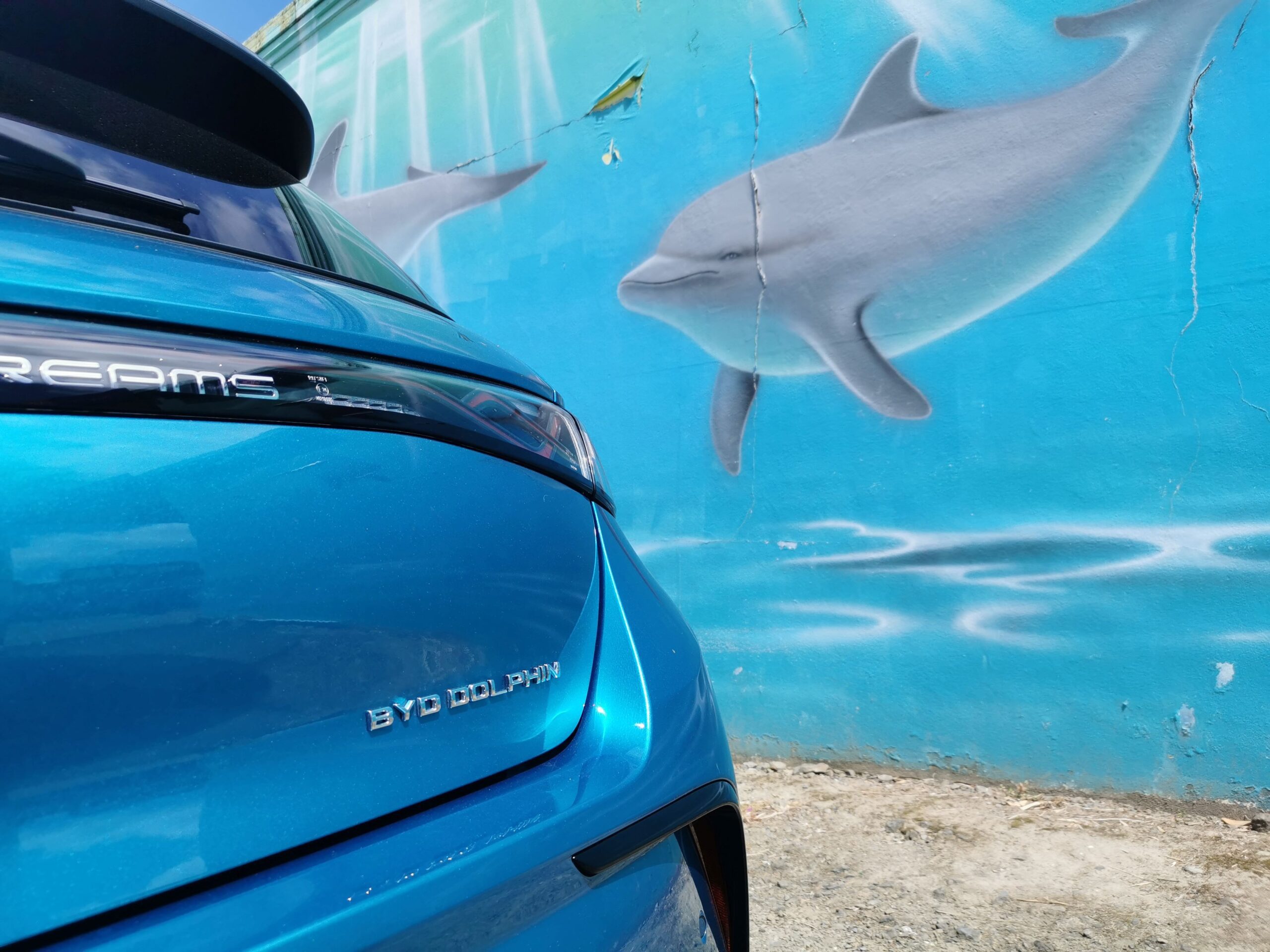 BYD Dolphin review NZ