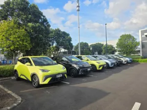 BYD Atto 1 First Drive Review – NZ’s New ‘Little Treasure’ for Urban Living  