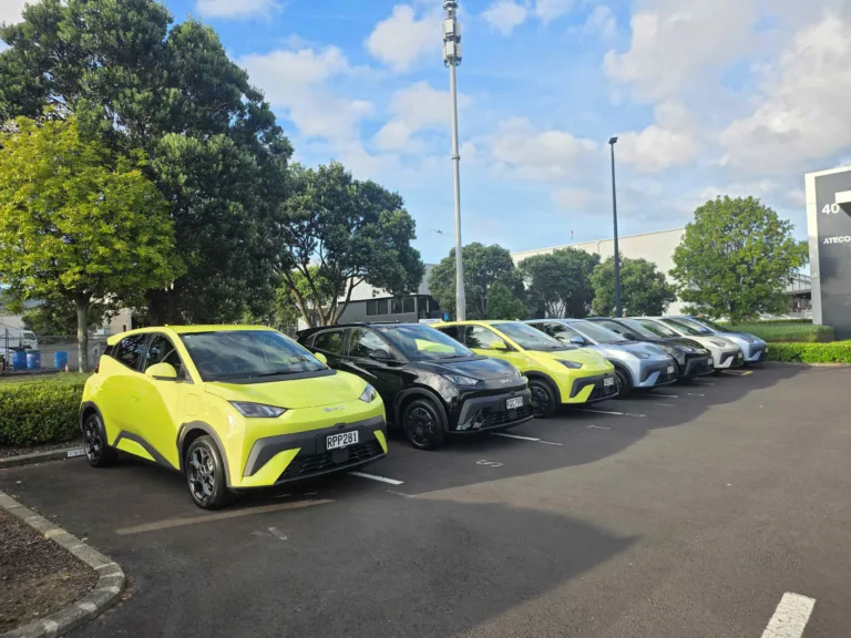 BYD Atto 1 First Drive Review – NZ’s New ‘Little Treasure’ for Urban Living  