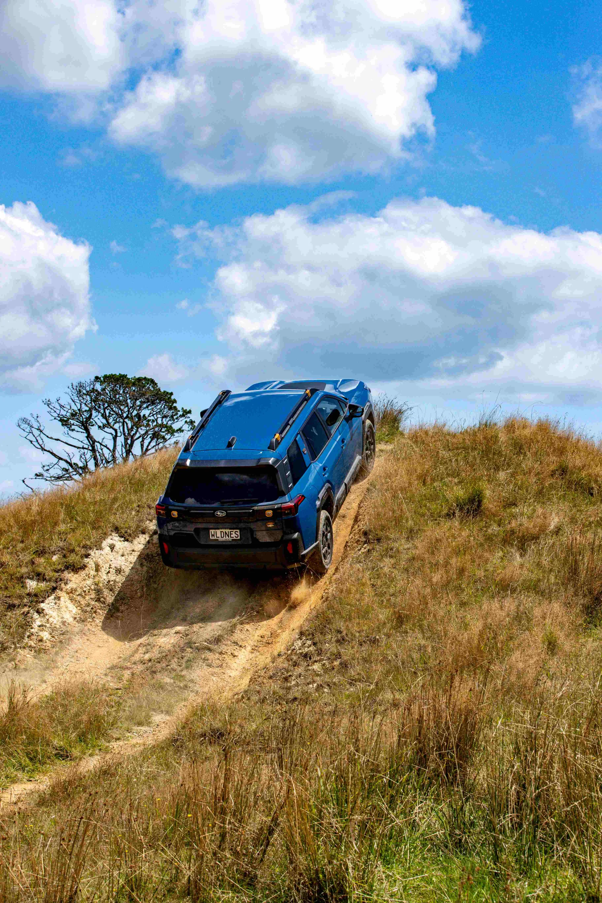 Outback’s Back - 2026 Subaru Outback & Outback Wilderness First Drive NZ