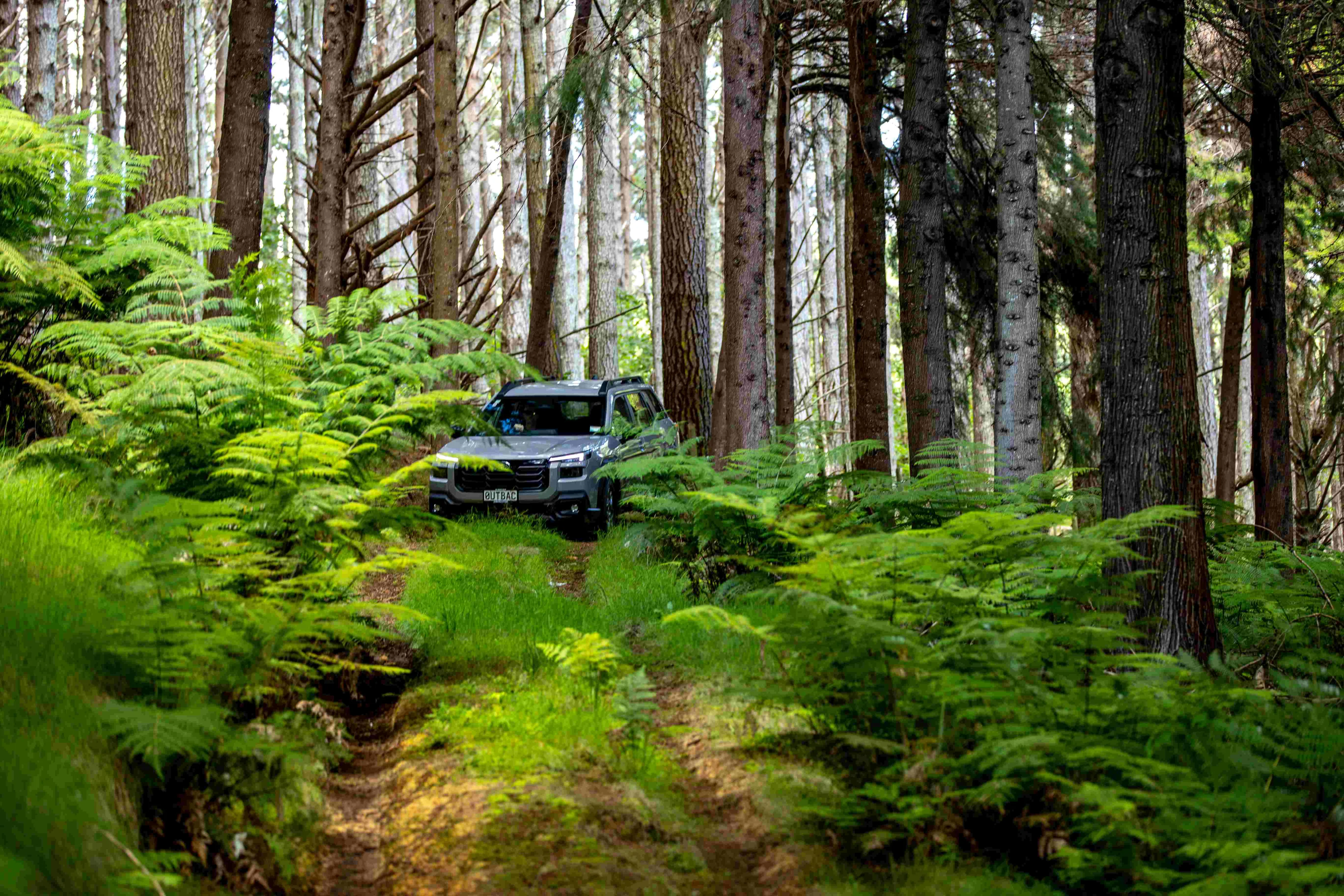 Outback’s Back - 2026 Subaru Outback & Outback Wilderness First Drive NZ