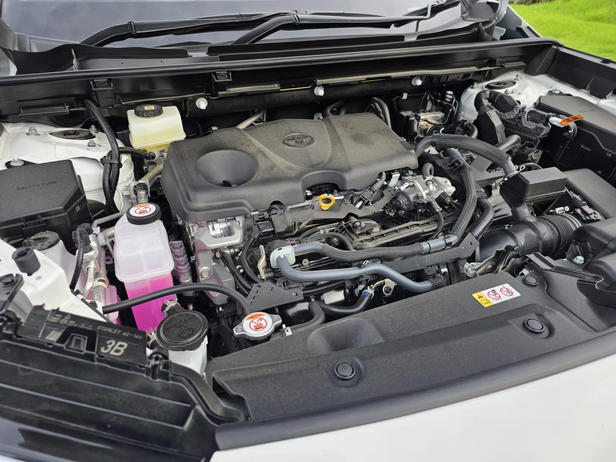 All-New Toyota RAV4 - NZ Launch and First Drive Review
